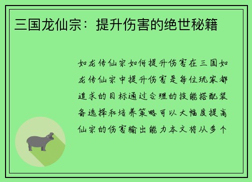 三国龙仙宗：提升伤害的绝世秘籍